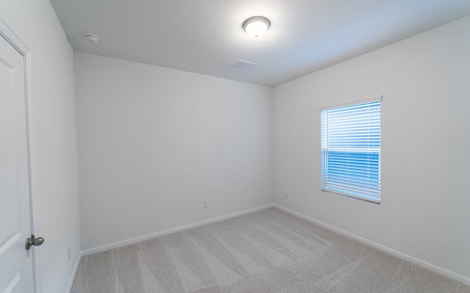 Pecan gallery image 6