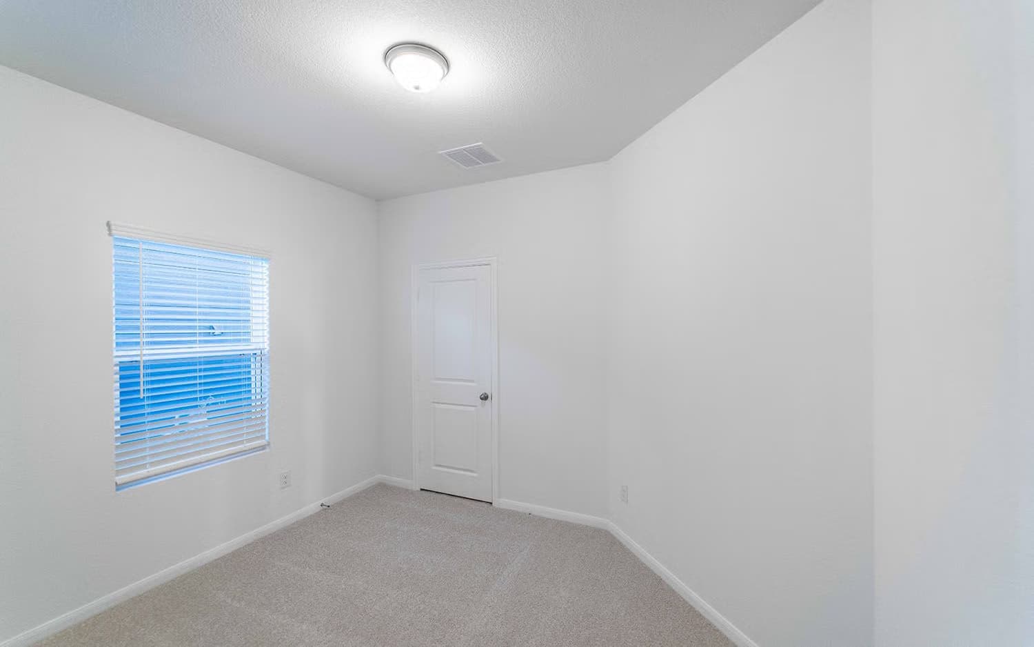 Pecan gallery image 10