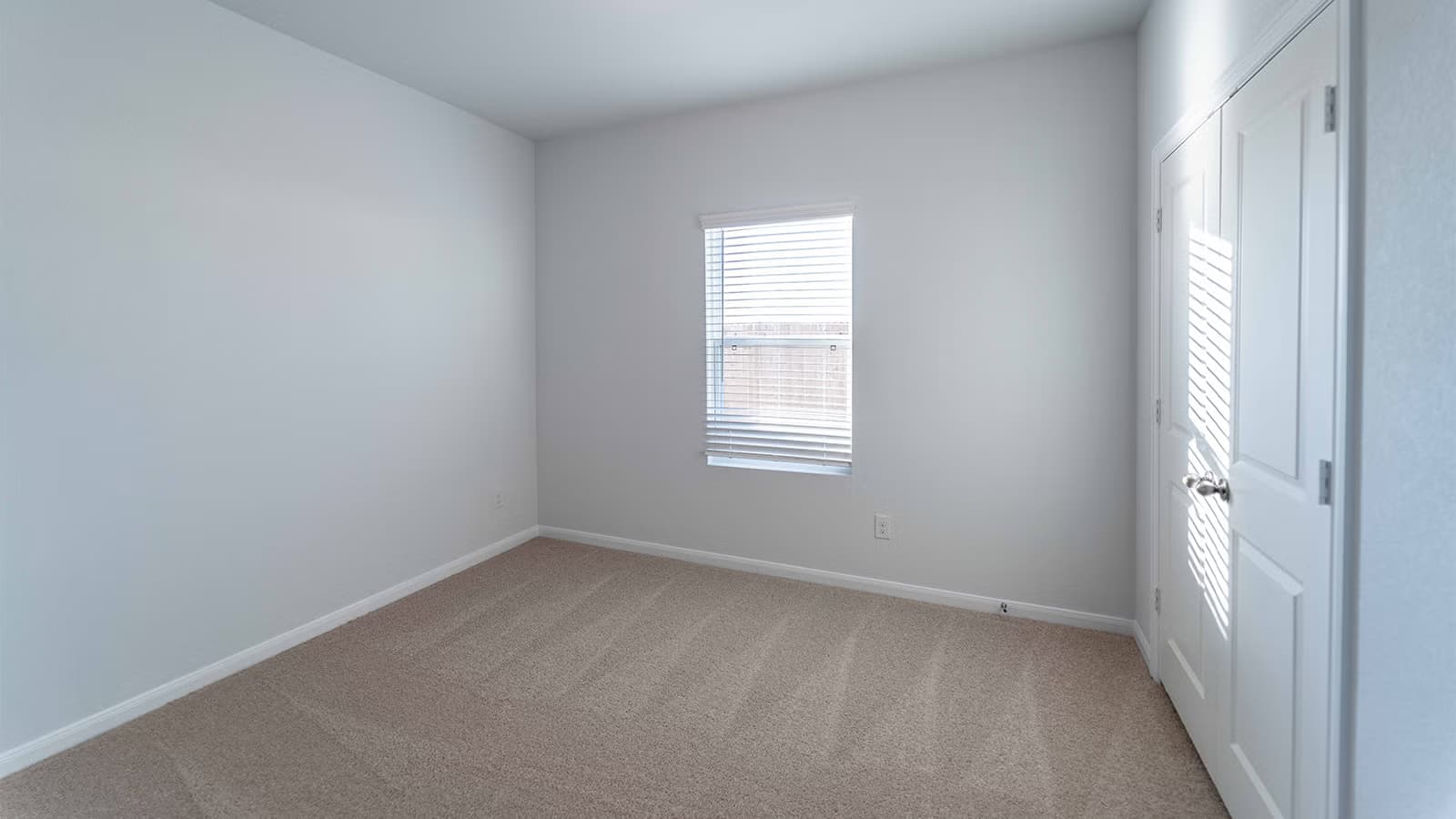 Maple gallery image 3