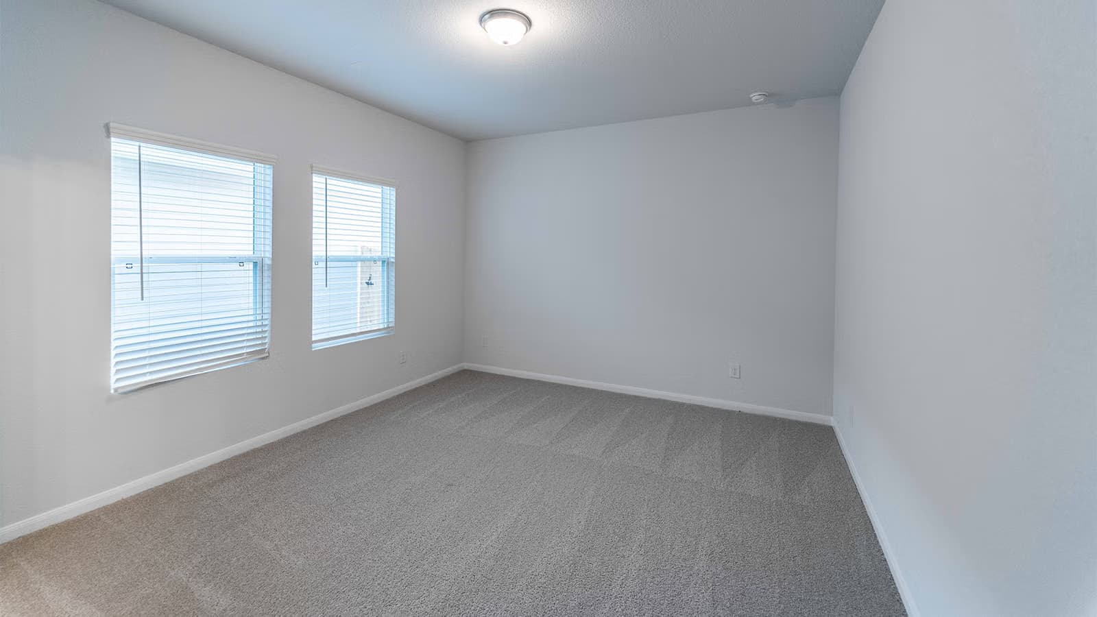 Maple gallery image 11