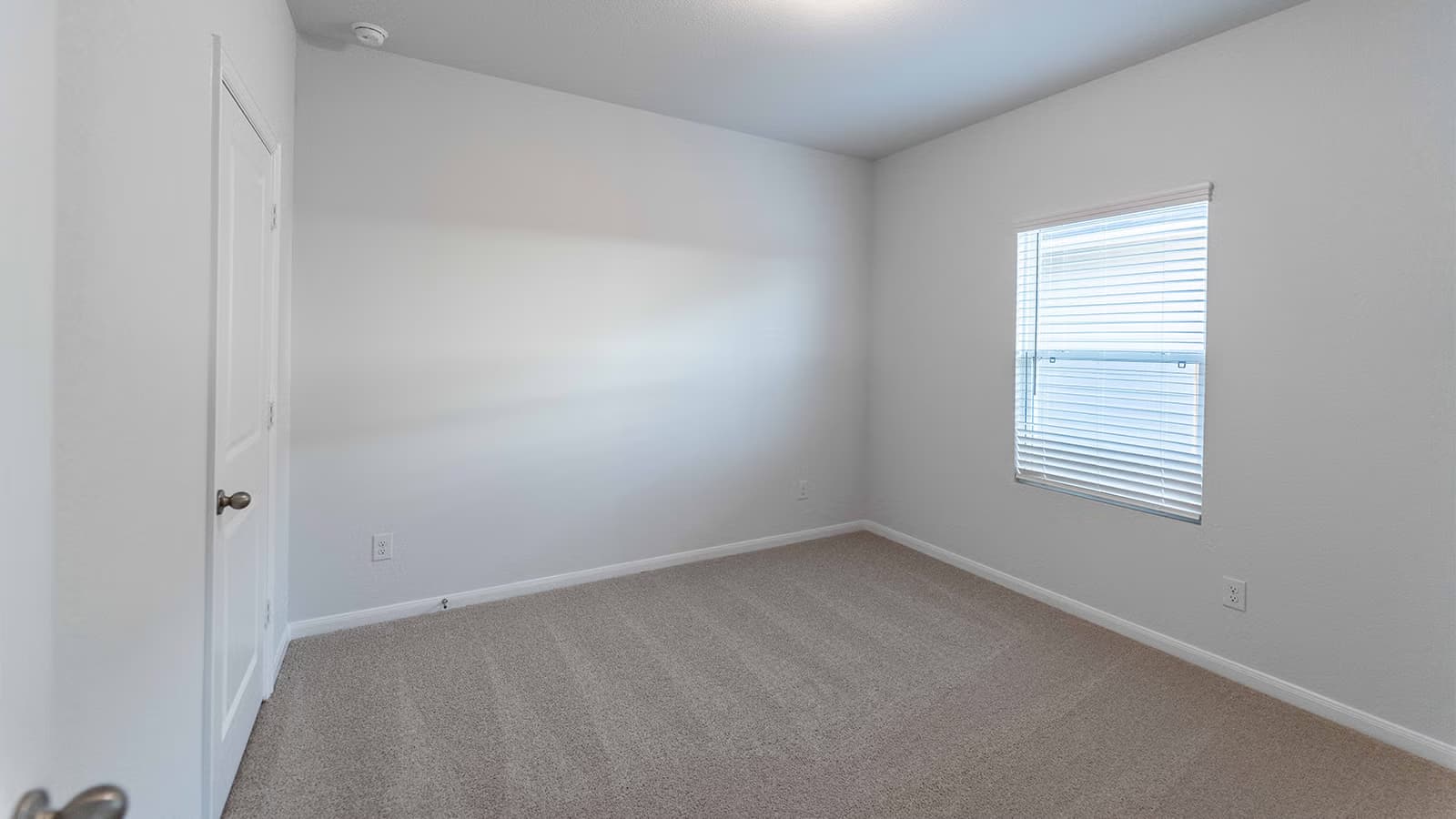 Maple gallery image 14