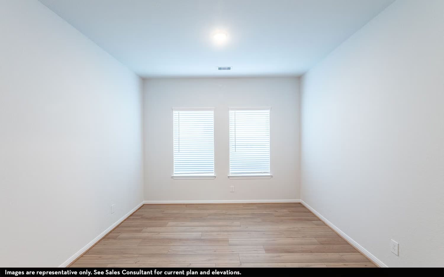 Maple gallery image 15