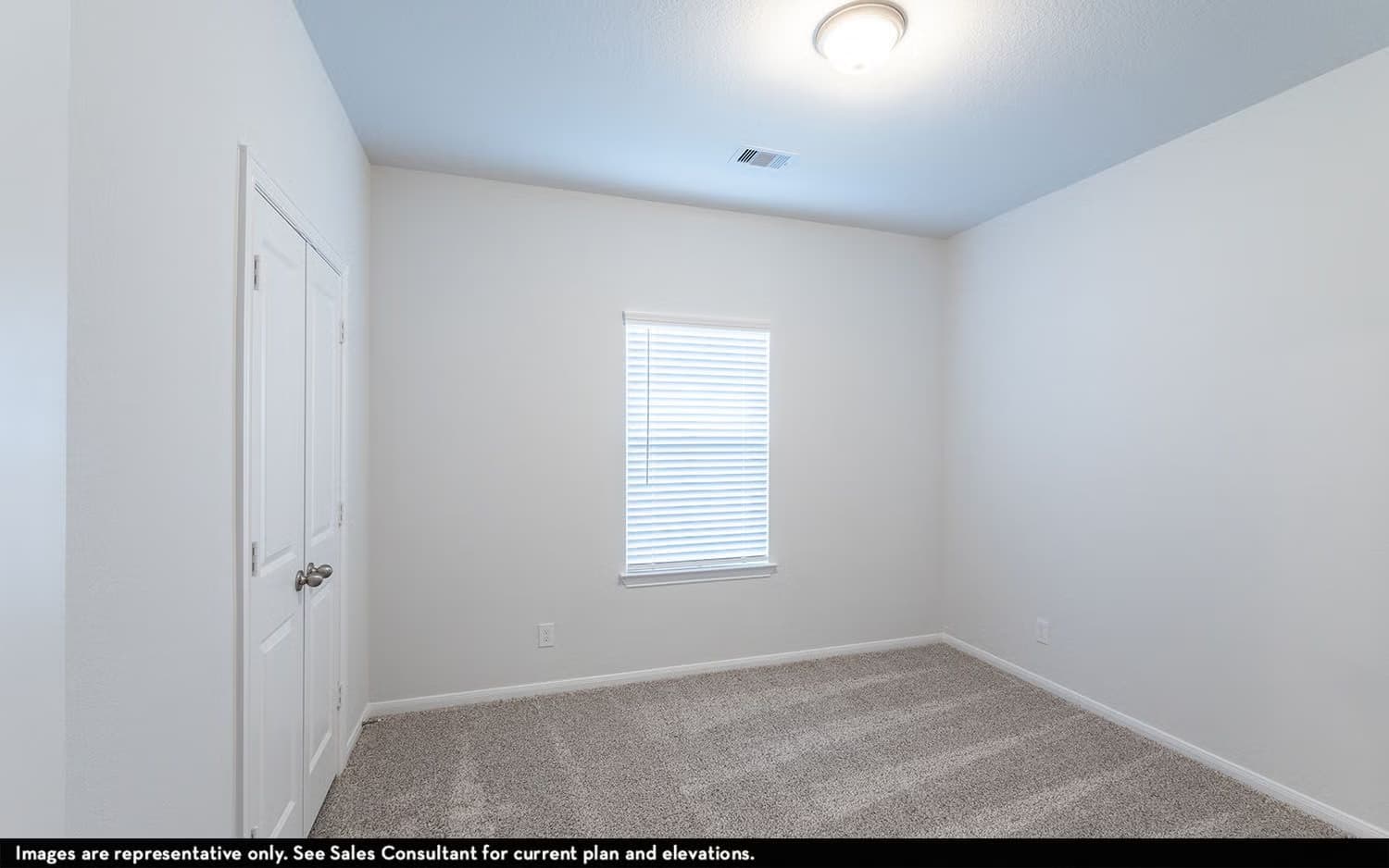 Maple gallery image 19