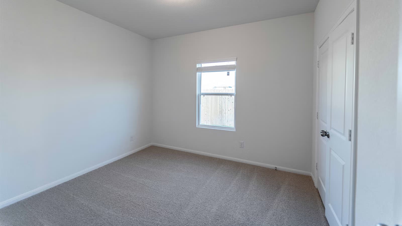 Maple gallery image 3