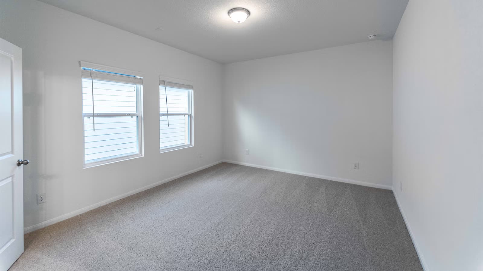 Maple gallery image 12