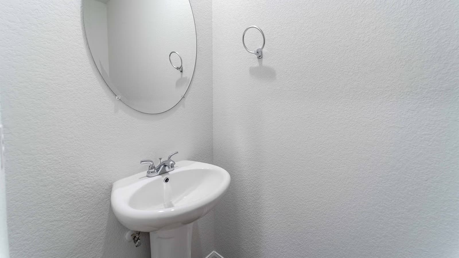 Maple gallery image 14