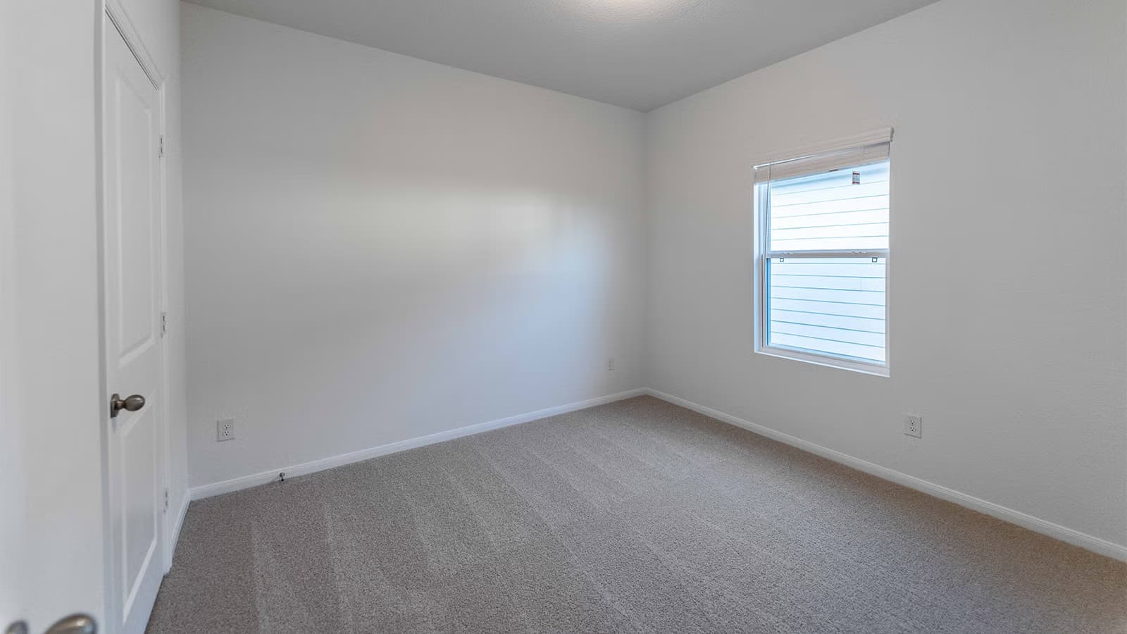 Maple gallery image 15