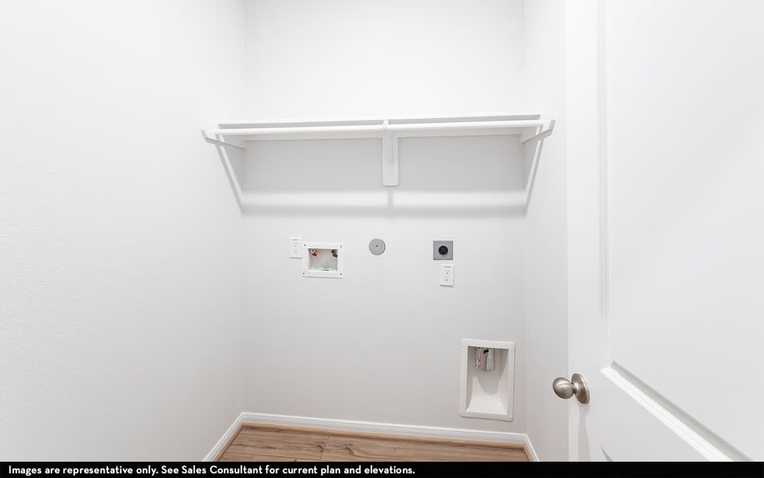 Maple gallery image 26