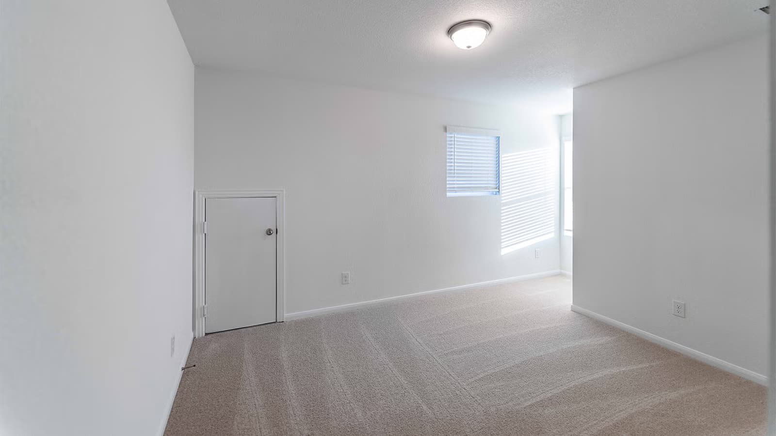 Mesquite gallery image 2