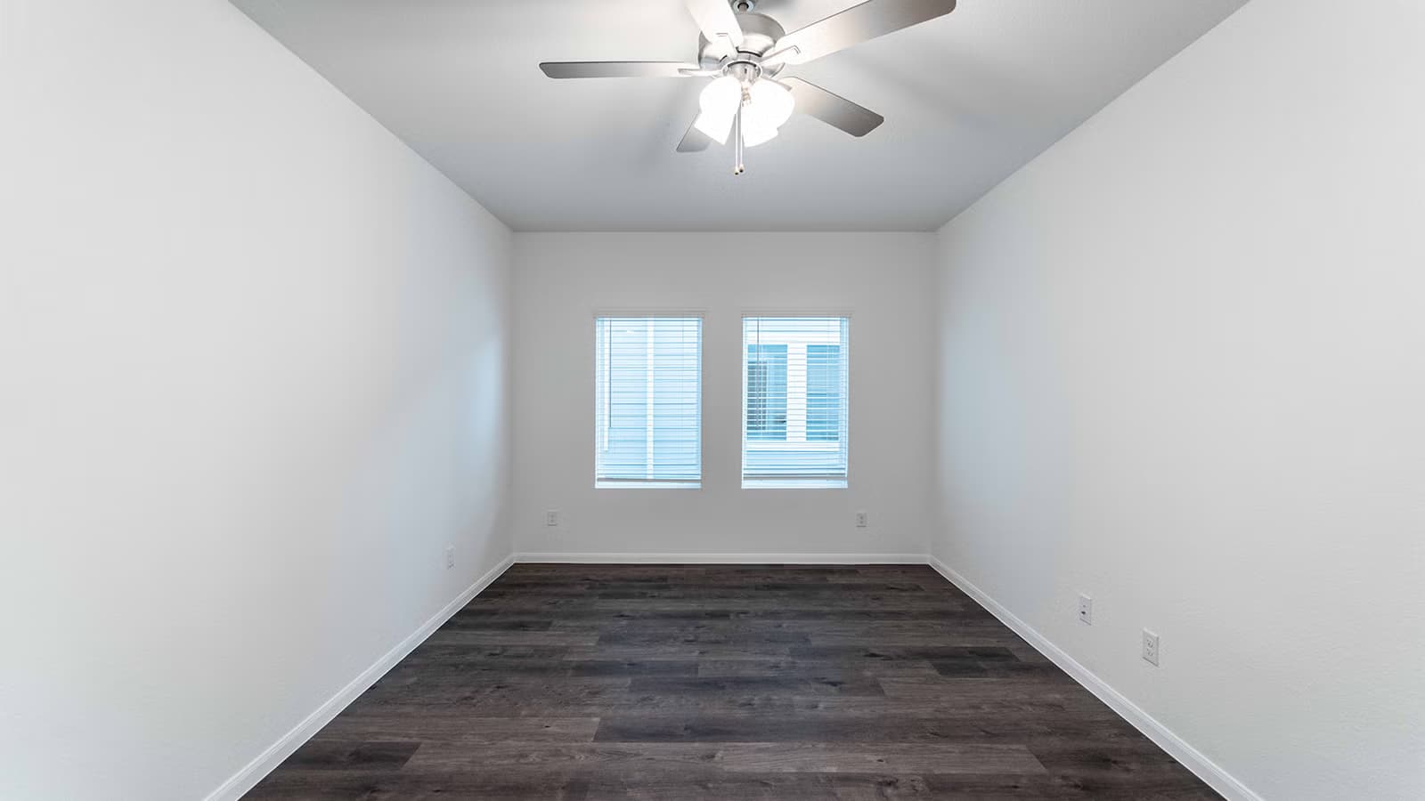 Ash gallery image 14