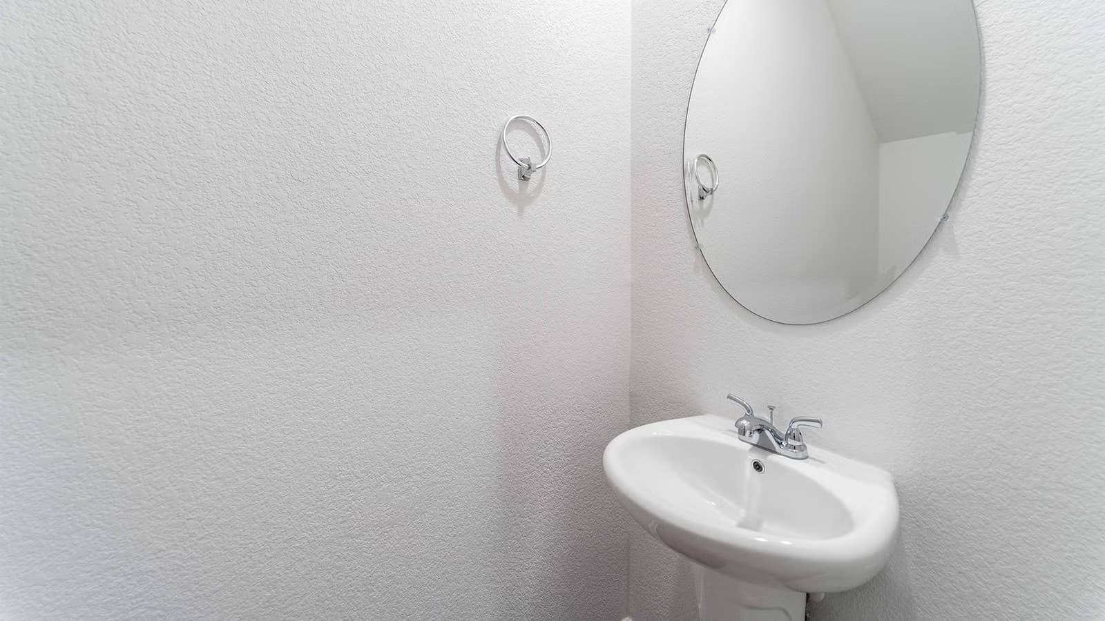 Ash gallery image 16