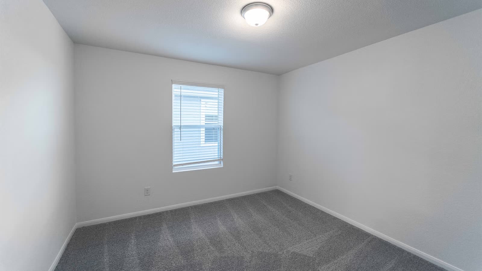 Ash gallery image 17