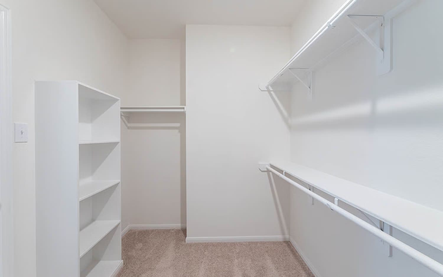 Ash gallery image 27