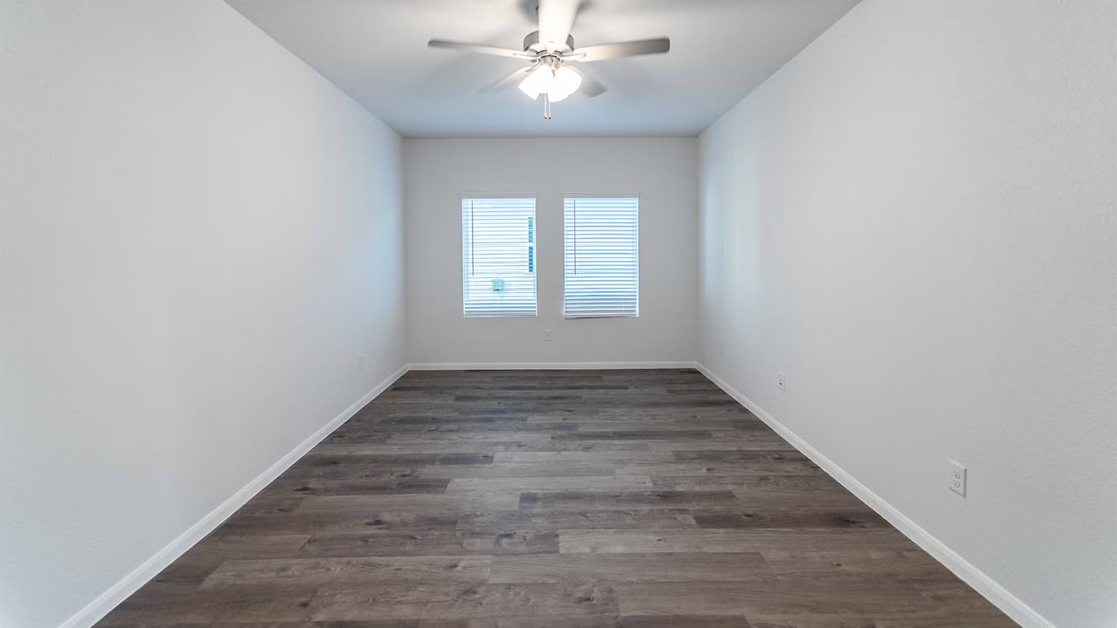 Ash gallery image 11