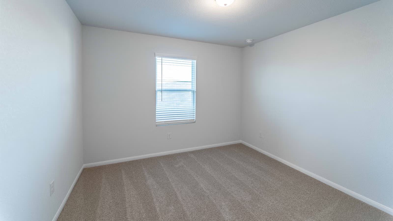 Ash gallery image 13