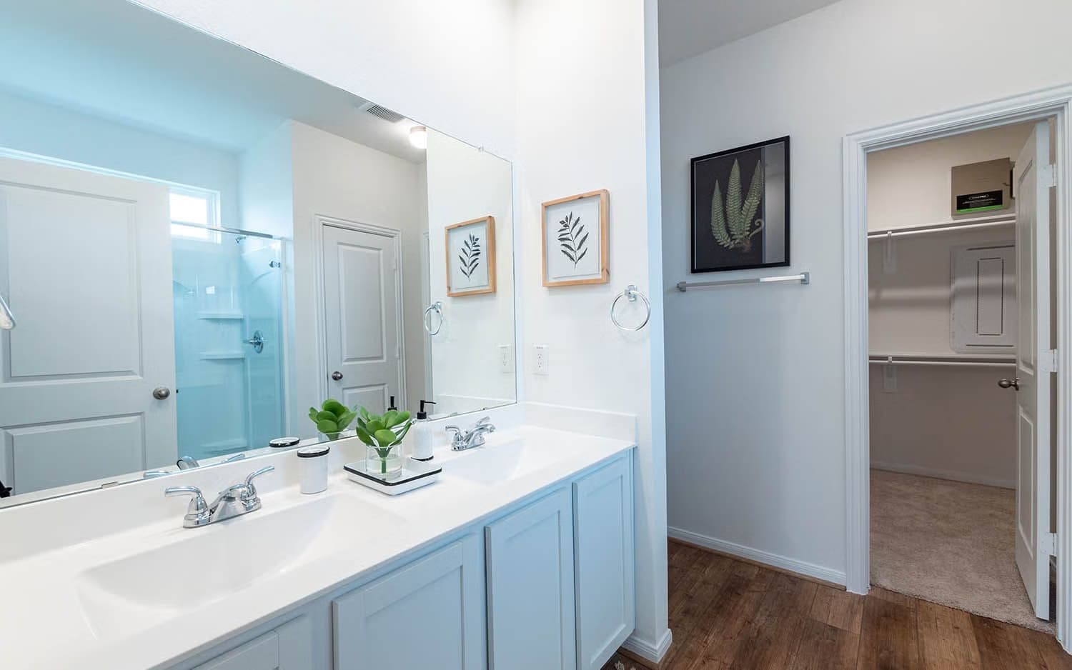 Ash gallery image 24