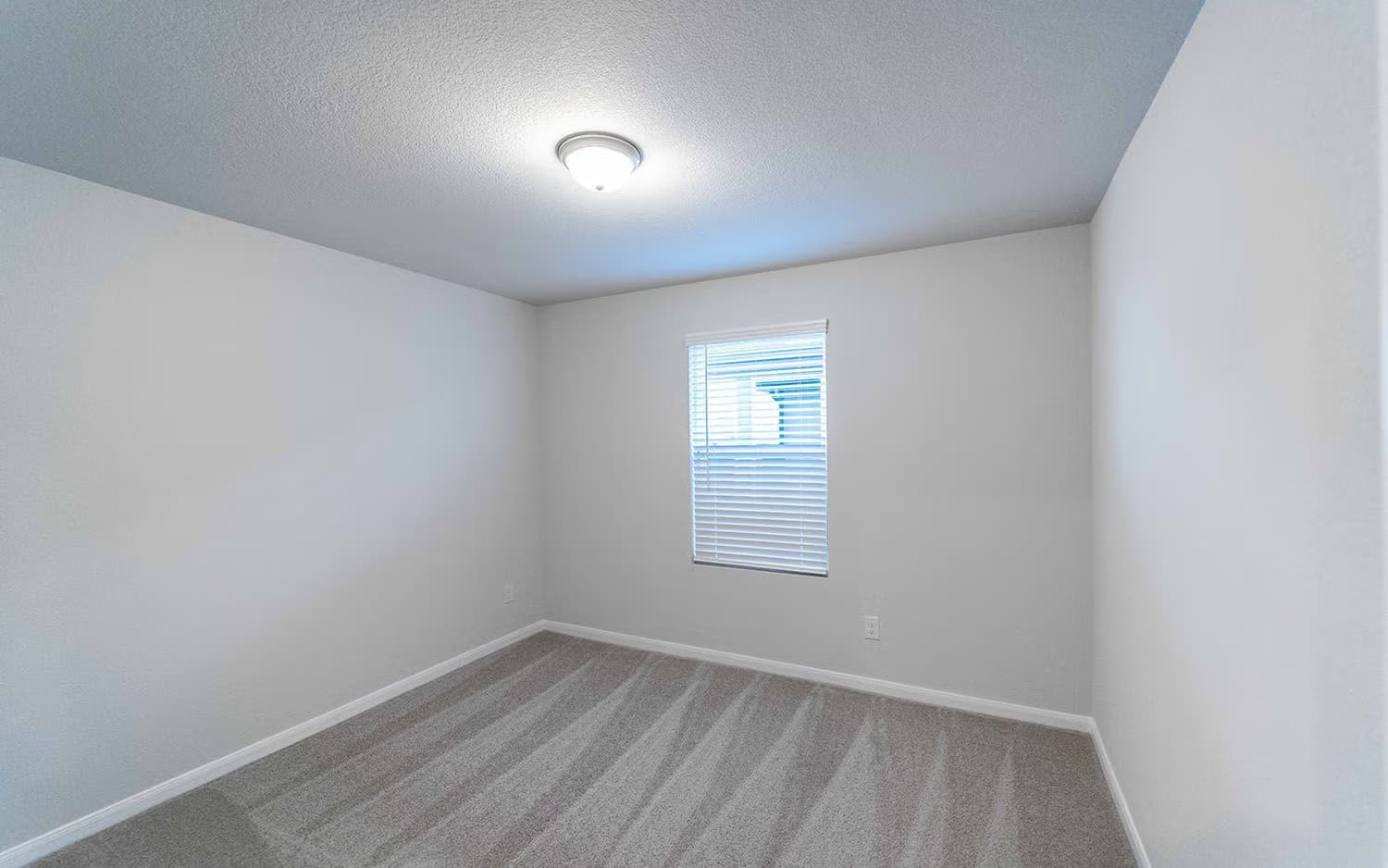 Lavaca gallery image 11