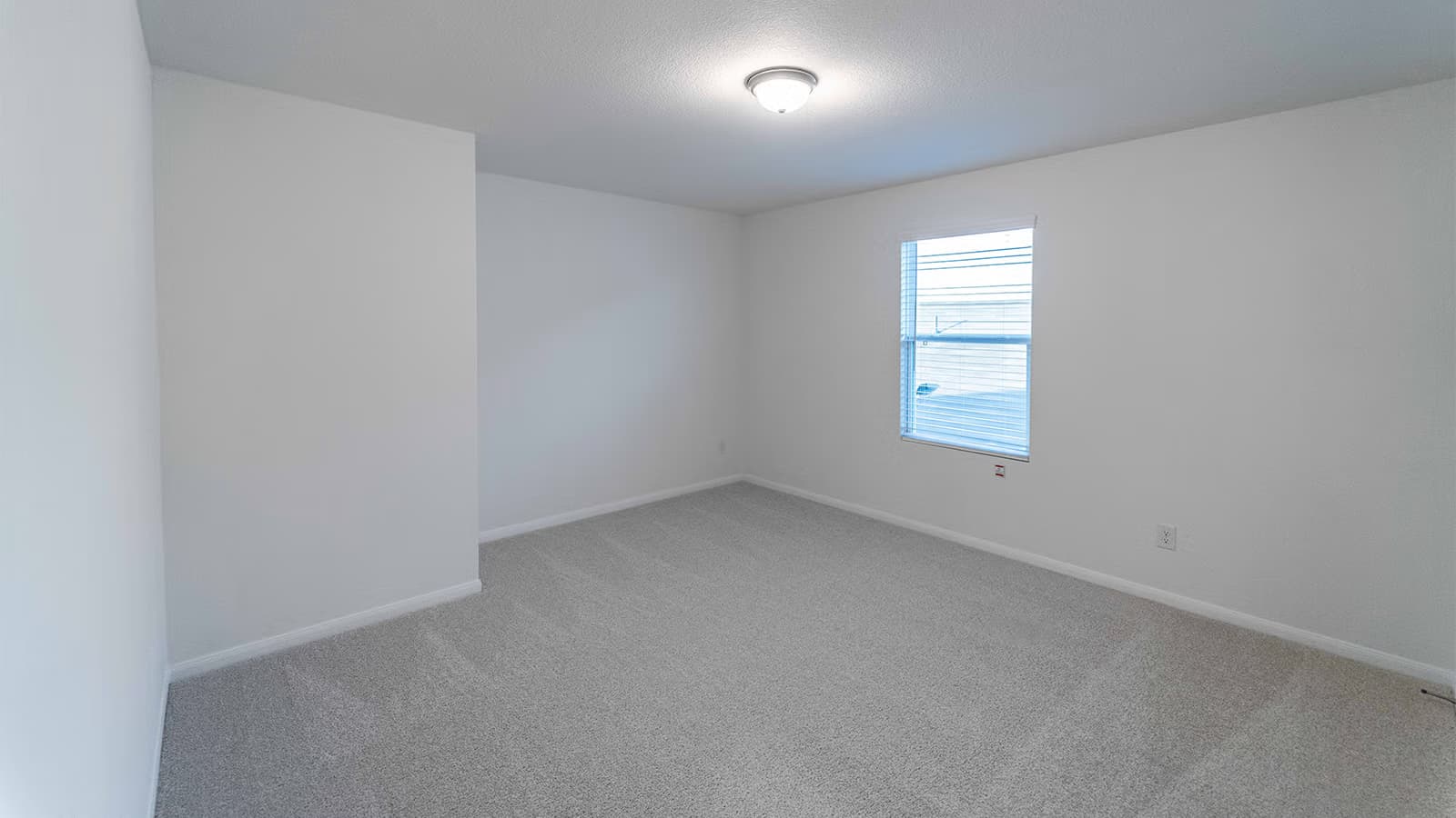 Hickory gallery image 2