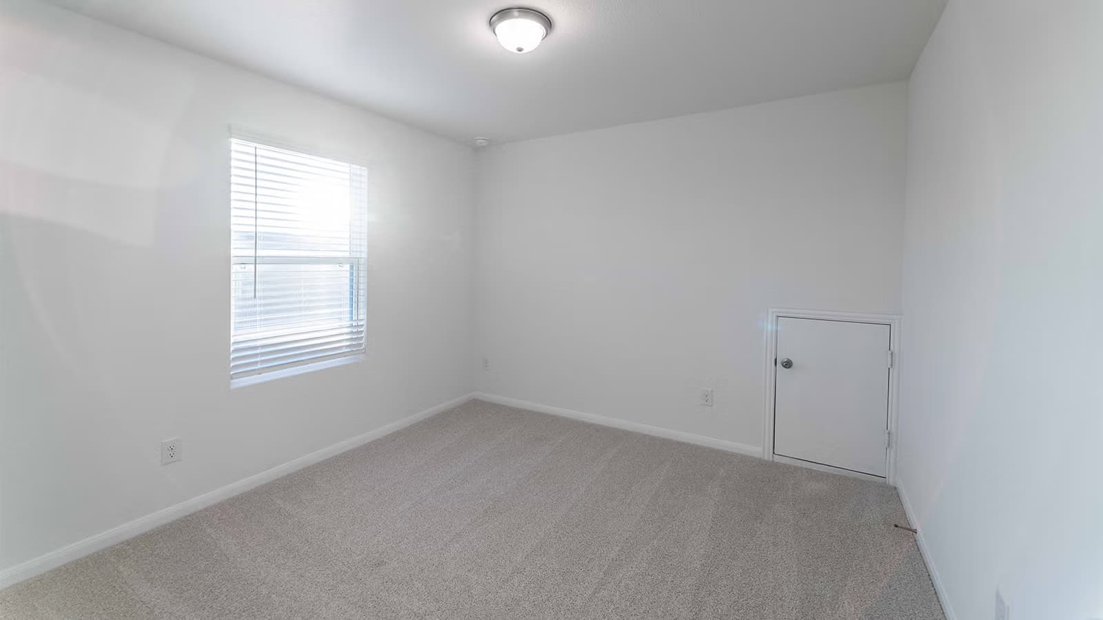 Hickory gallery image 4