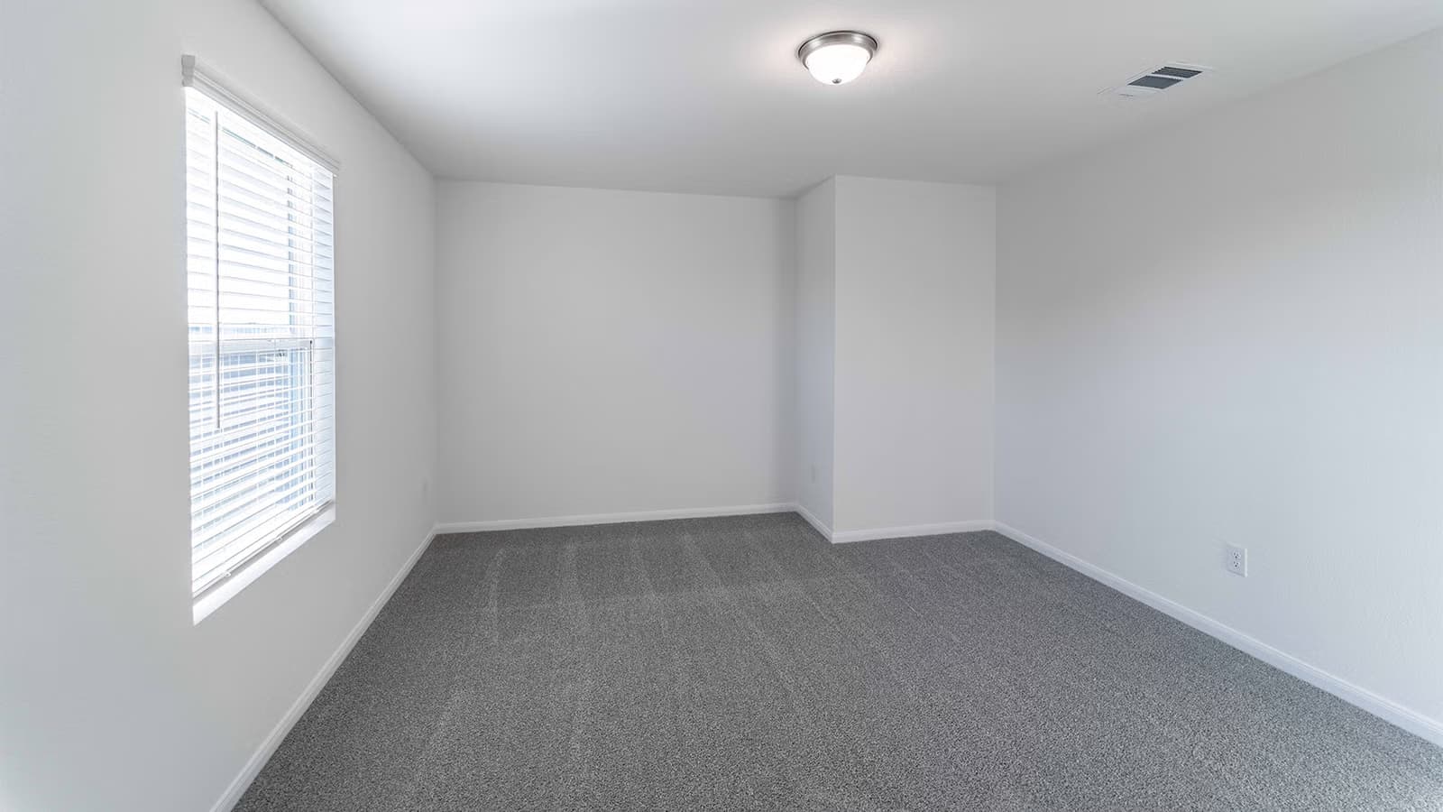 Hickory gallery image 2