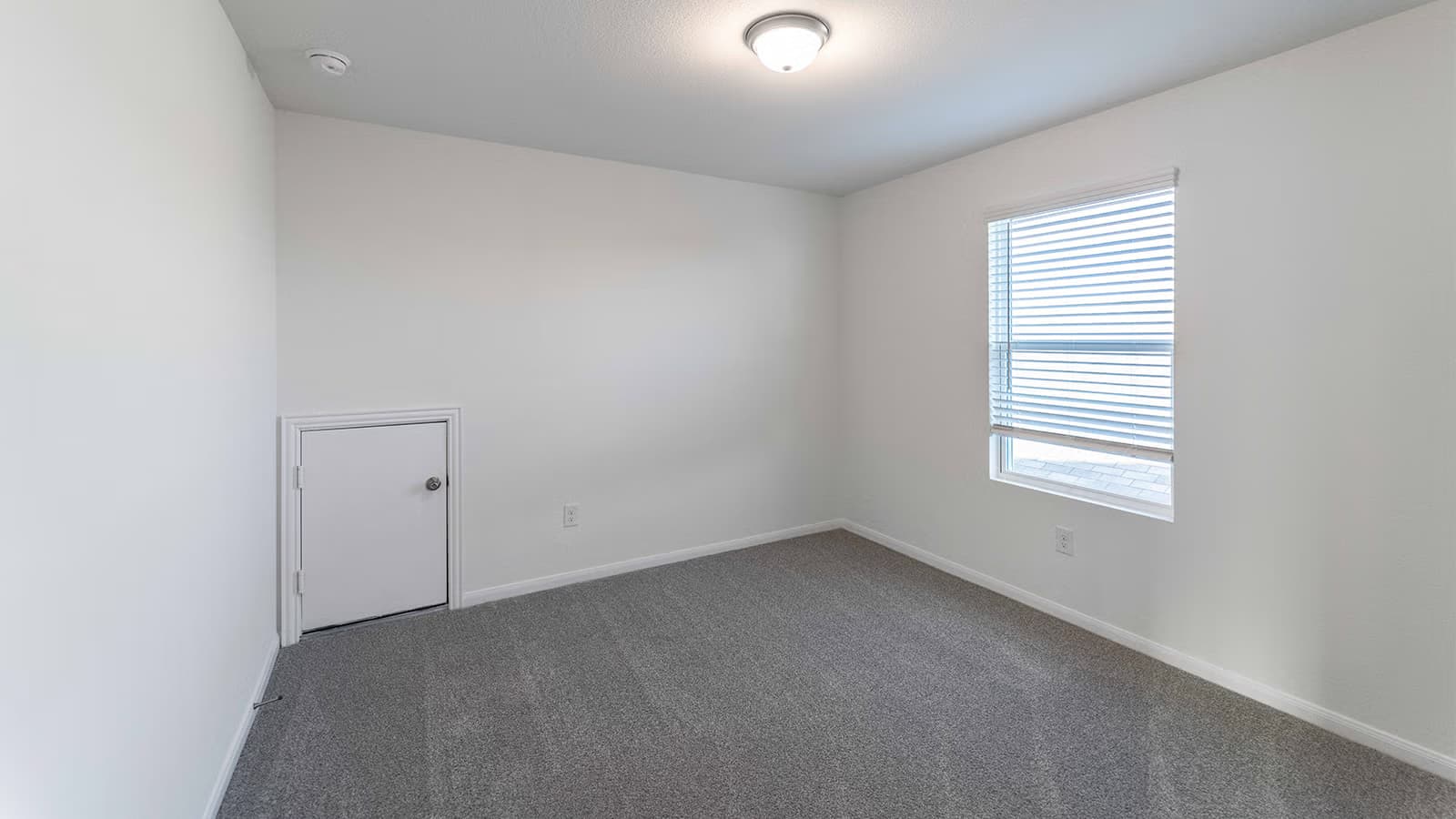 Hickory gallery image 4