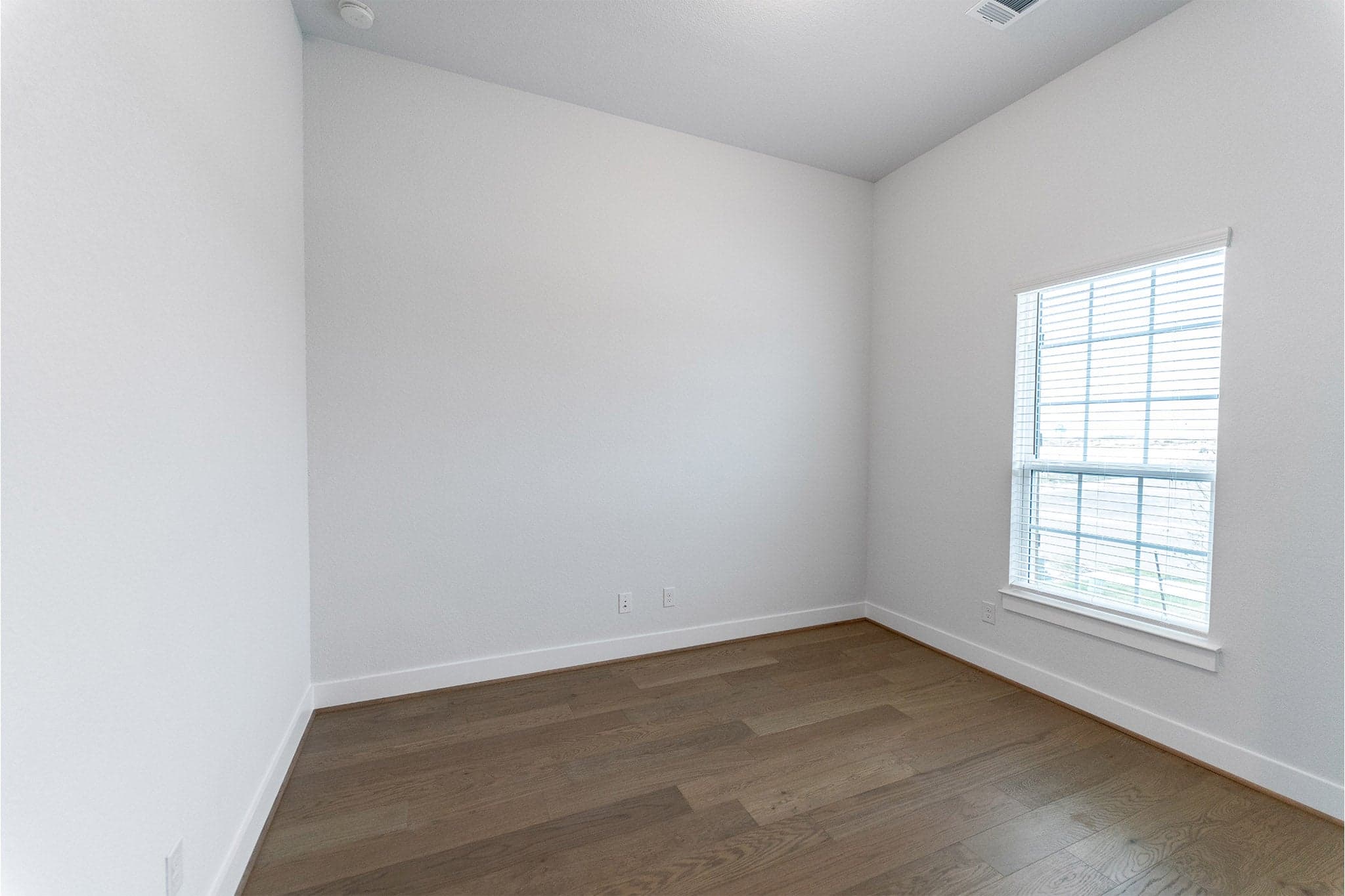 Hayden gallery 6