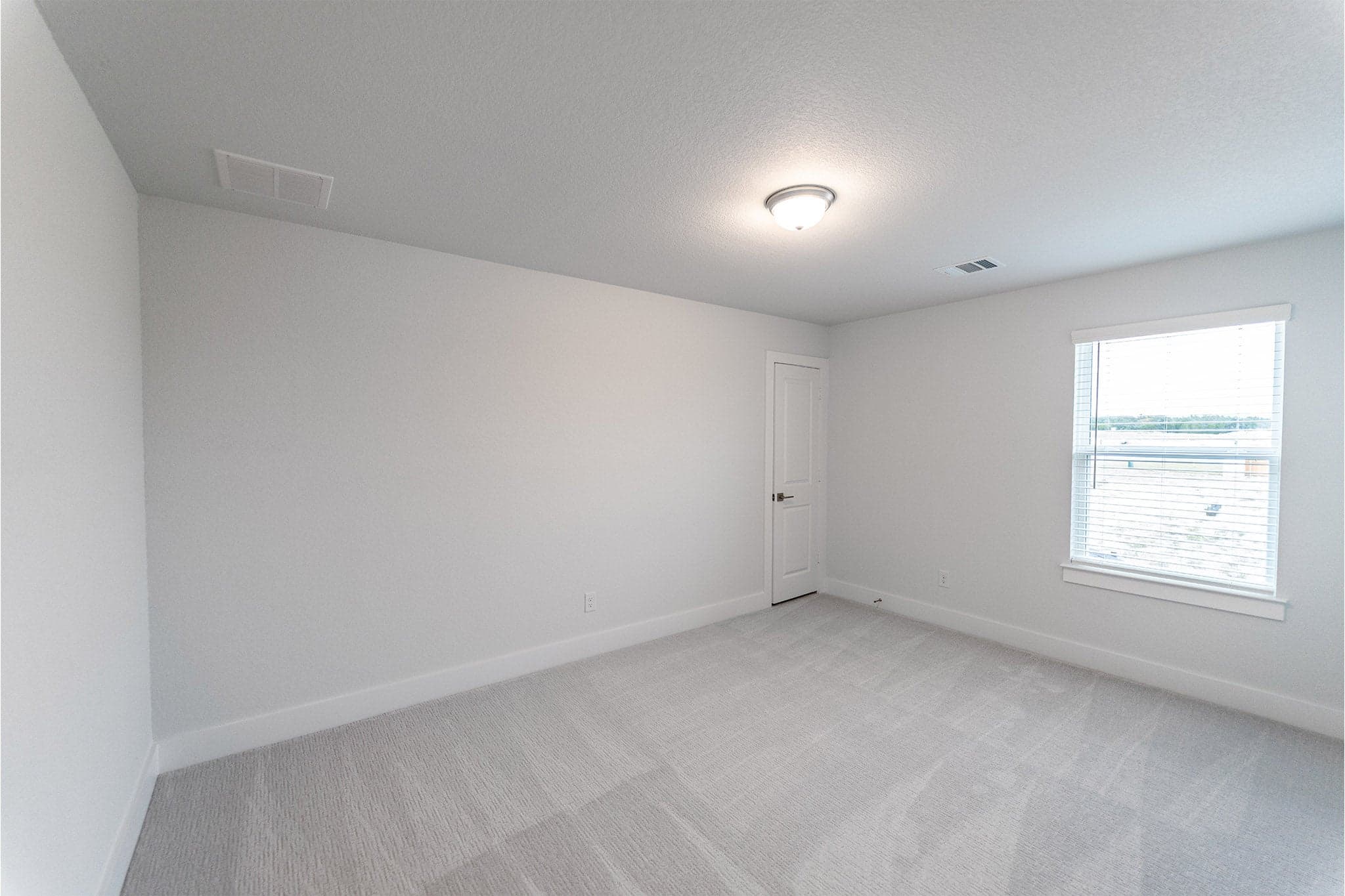 Hayden gallery 13