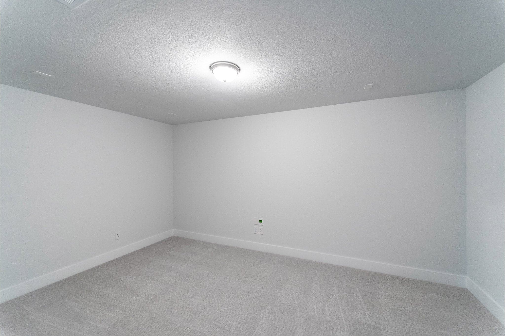 Hayden gallery 14