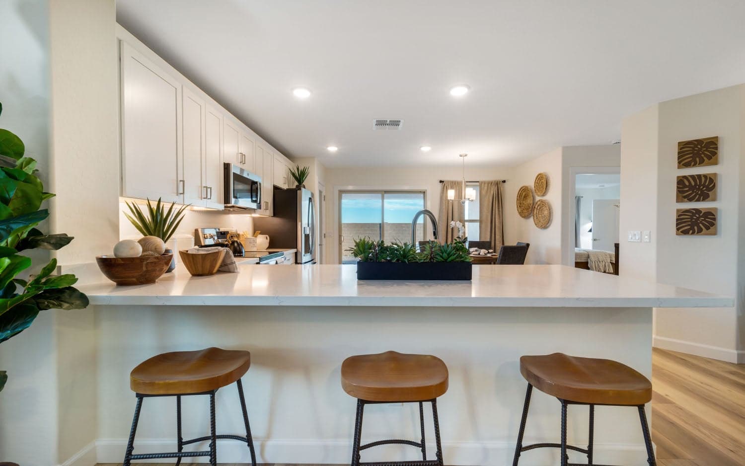Comal gallery 25