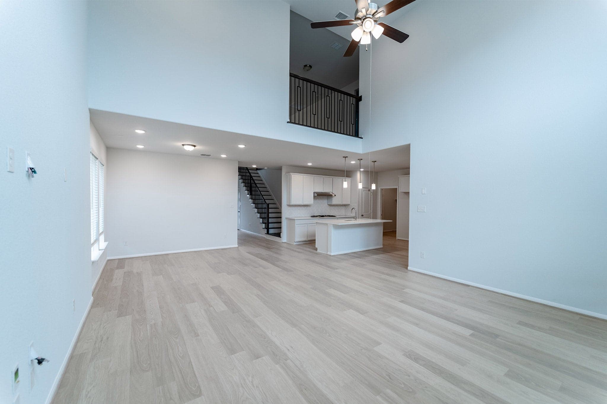 Hayden gallery 5