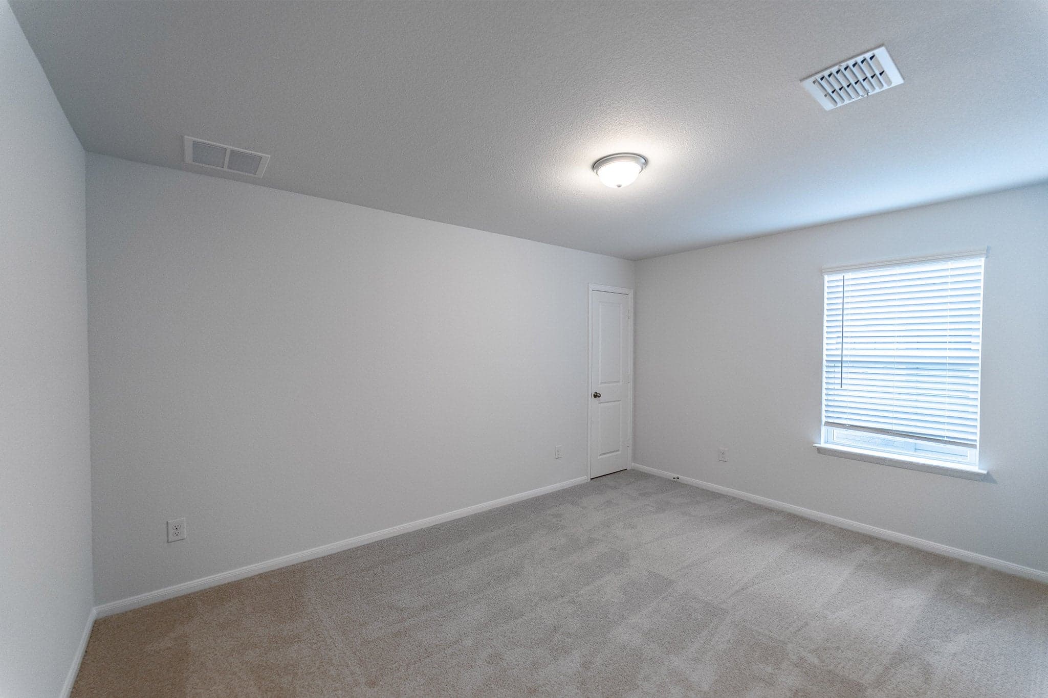 Hayden gallery 14