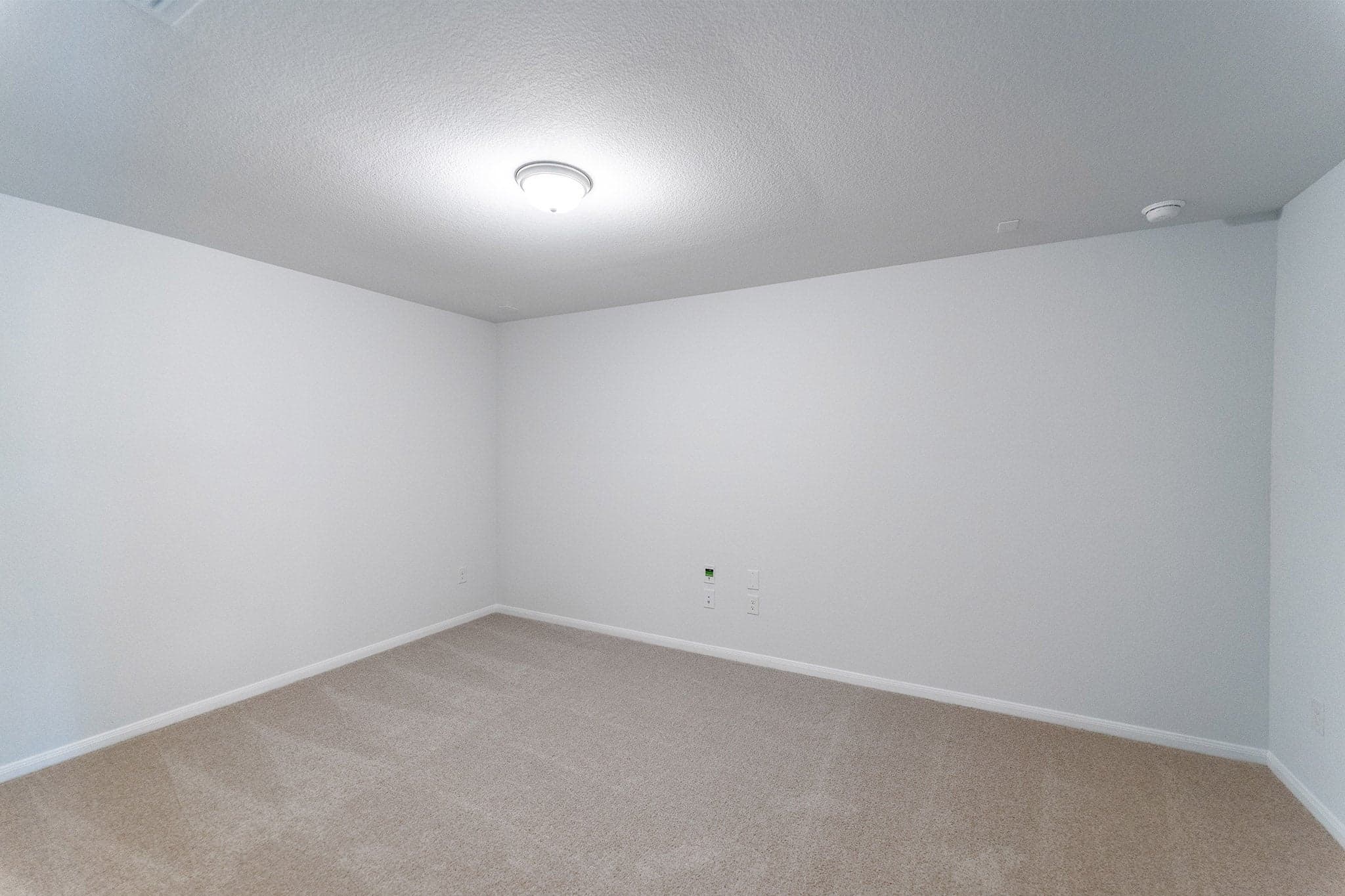 Hayden gallery 22