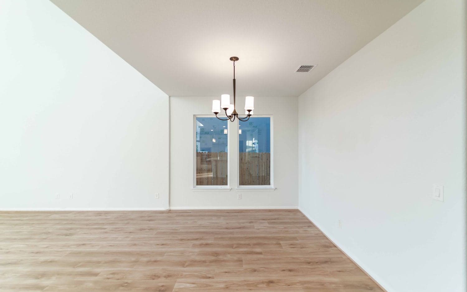 Hayden gallery 5