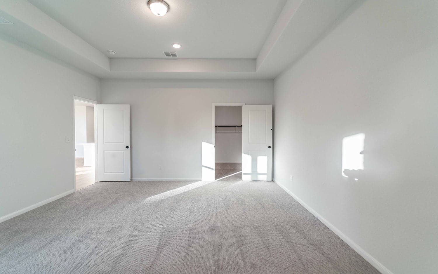 Hayden gallery 12