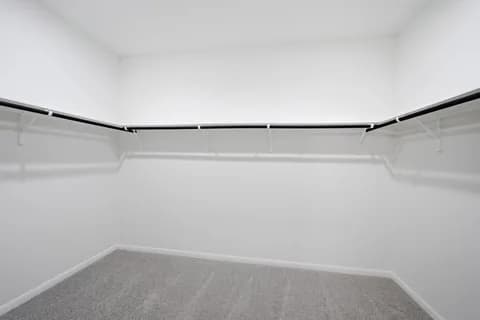Jameson gallery 24