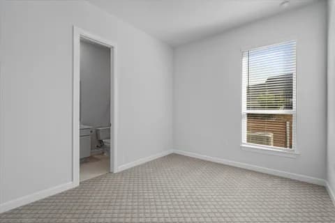 Frisco gallery 29